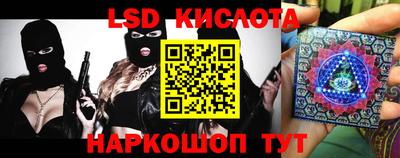 молекула духа Будённовск