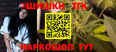 молекула духа Будённовск