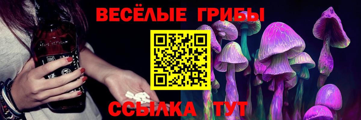 Галлюциногенные грибы мухоморы  Псилоцибиновые грибы MAGIC MUSHROOMS  Тавда  Вход с VPN 
